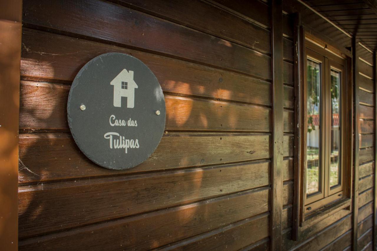 Xisto Campsite Janeiro de Baixo