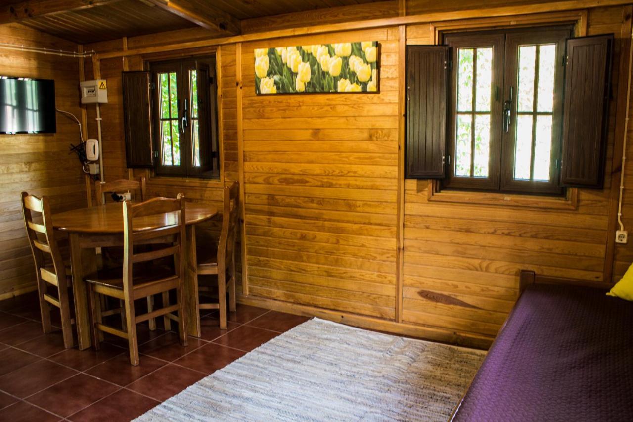Campsite Xisto Janeiro de Baixo