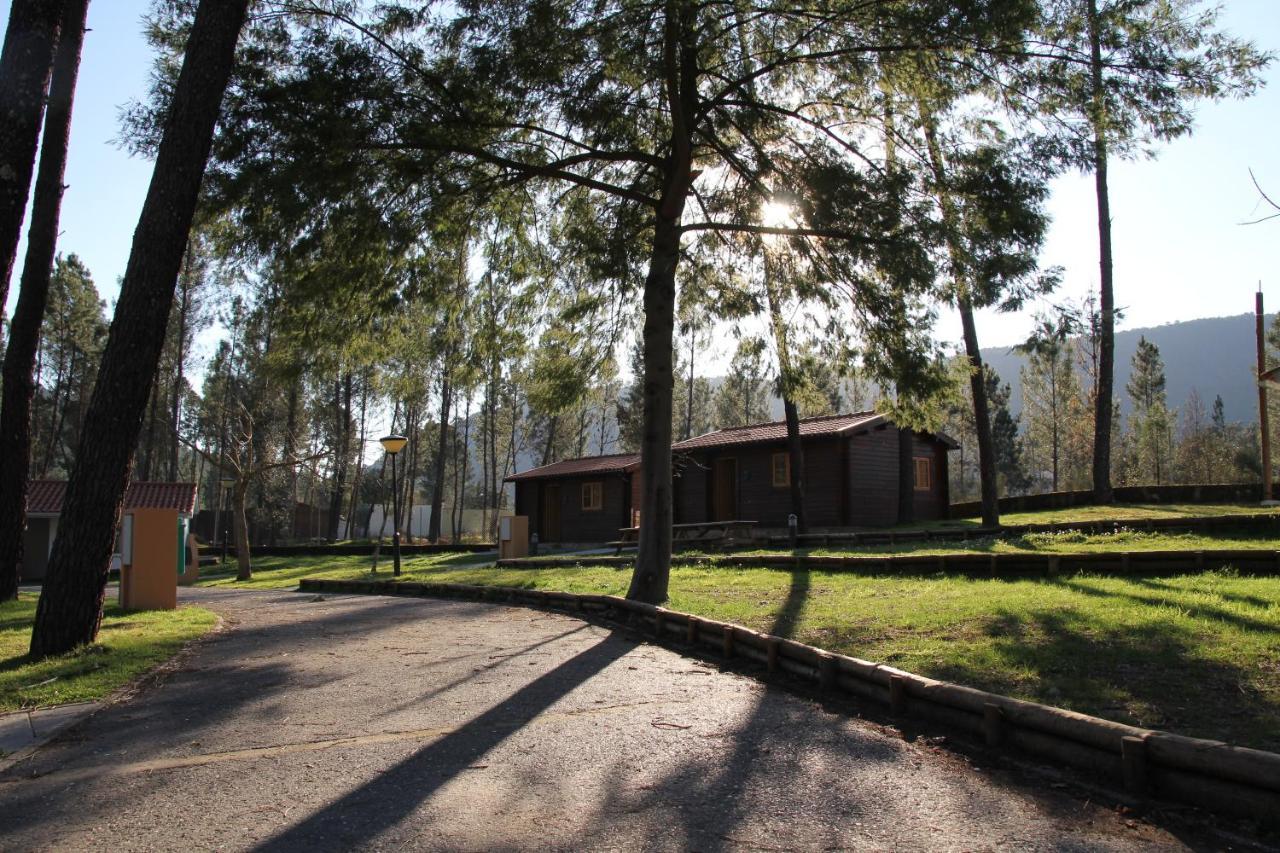 Xisto Campsite Janeiro de Baixo