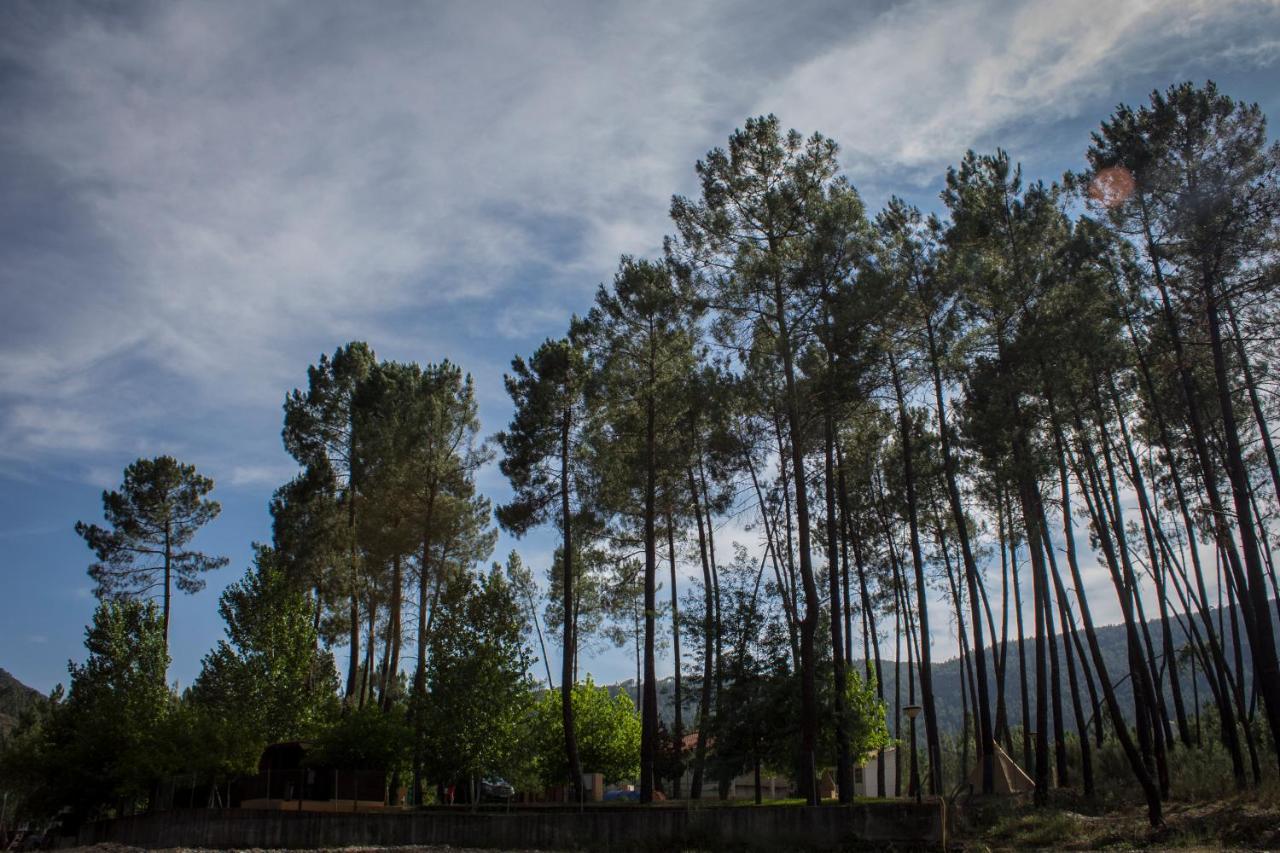 Campsite Xisto Janeiro de Baixo